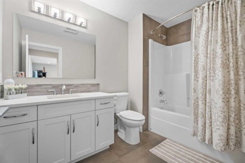 19 Masters Mews Se, Calgary, AB - Indoor Photo Showing Bathroom