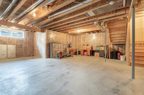 19 Masters Mews Se, Calgary, AB - Indoor Photo Showing Basement