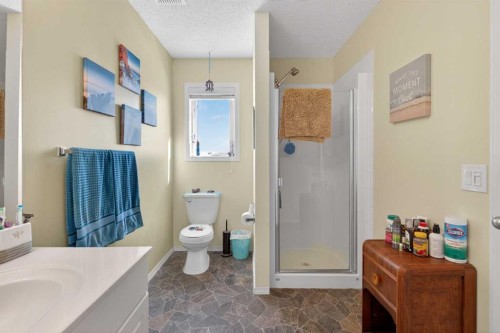 92 Hamptons Link Nw, Calgary, AB - Indoor Photo Showing Bathroom