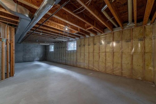 44 Prestwick Pond Terrace Se, Calgary, AB - Indoor Photo Showing Basement