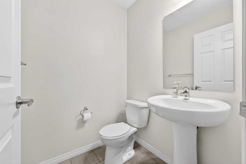 99 Buckskin Way, Cochrane, AB - Indoor Photo Showing Bathroom