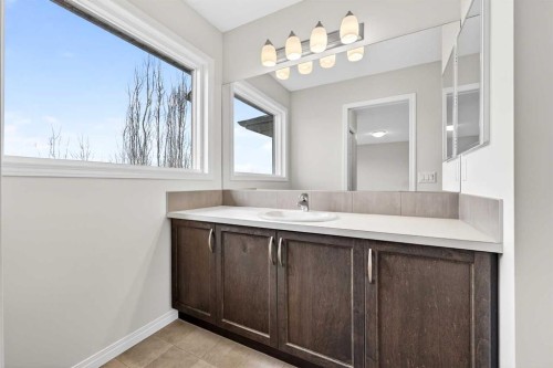 99 Buckskin Way, Cochrane, AB - Indoor Photo Showing Bathroom