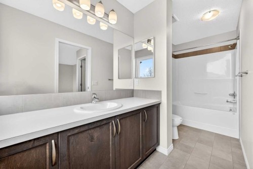 99 Buckskin Way, Cochrane, AB - Indoor Photo Showing Bathroom
