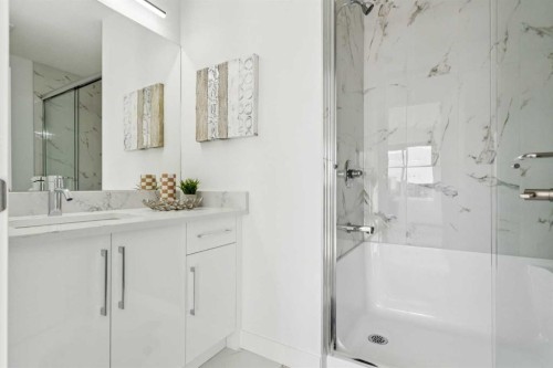 106-95 Saddlecrest Circle Ne, Calgary, AB - Indoor Photo Showing Bathroom