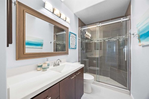 142 Sierra Nevada Green Sw, Calgary, AB - Indoor Photo Showing Bathroom