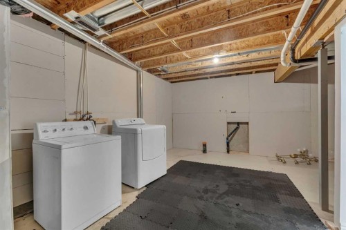 88 Cityscape Row Ne, Calgary, AB - Indoor Photo Showing Laundry Room