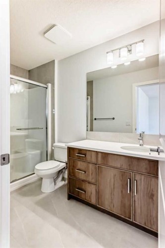 109 Veranda Boulevard Sw, Calgary, AB - Indoor Photo Showing Bathroom