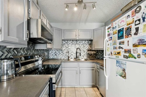 68 Templegreen Bay Ne, Calgary, AB - Indoor Photo Showing Kitchen