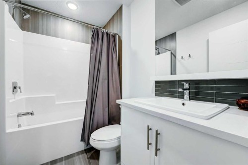 105 Walden Common Se, Calgary, AB - Indoor Photo Showing Bathroom