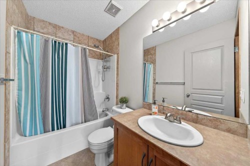 152 Chapman Close Se, Calgary, AB - Indoor Photo Showing Bathroom