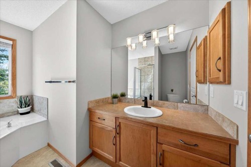 152 Chapman Close Se, Calgary, AB - Indoor Photo Showing Bathroom