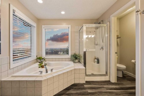 62 Panamount View Nw, Calgary, AB - Indoor Photo Showing Bathroom