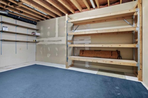 100 Macewan Park Manor Nw, Calgary, AB - Indoor Photo Showing Basement