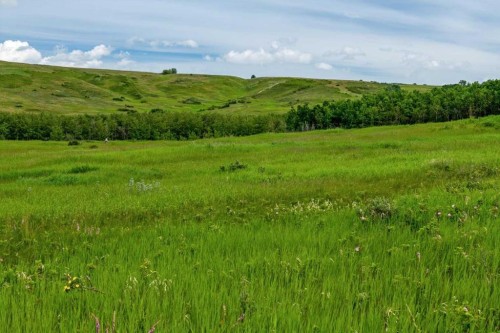 100 Macewan Park Manor Nw, Calgary, AB - Outdoor With View