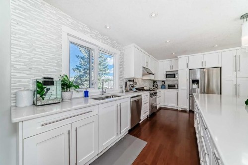 47 Coleridge Crescent Nw, Calgary, AB - Indoor Photo Showing Kitchen With Double Sink With Upgraded Kitchen