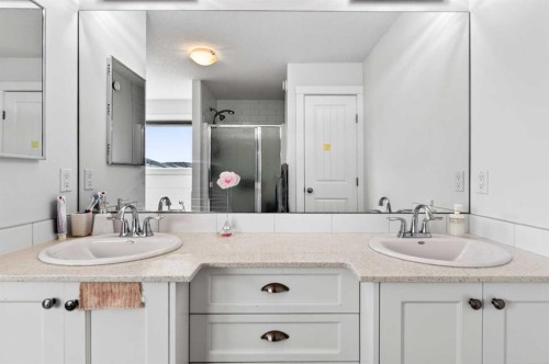 49 Redstone Heath Ne, Calgary, AB - Indoor Photo Showing Bathroom