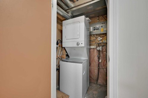 51 Covington Rise Ne, Calgary, AB - Indoor Photo Showing Laundry Room