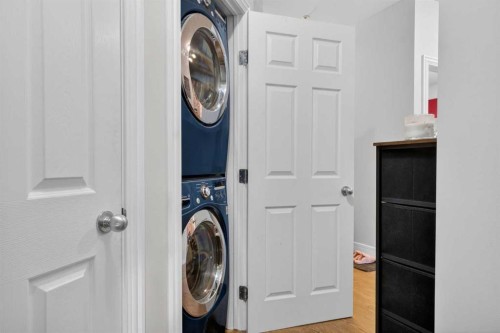 205-2 14 Street Nw, Calgary, AB - Indoor Photo Showing Laundry Room
