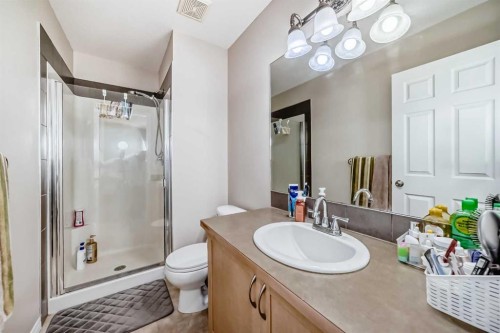 65 Spring Meadows Bay, Okotoks, AB - Indoor Photo Showing Bathroom
