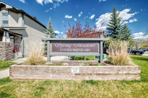 65 Spring Meadows Bay, Okotoks, AB - Outdoor