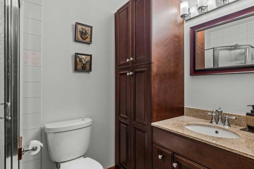 146 Cougar Point Road, Canmore, AB - Indoor Photo Showing Bathroom