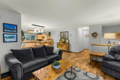 146 Cougar Point Road, Canmore, AB - Indoor Photo Showing Living Room