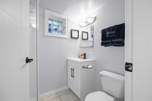 236 10 Avenue Ne, Calgary, AB - Indoor Photo Showing Bathroom