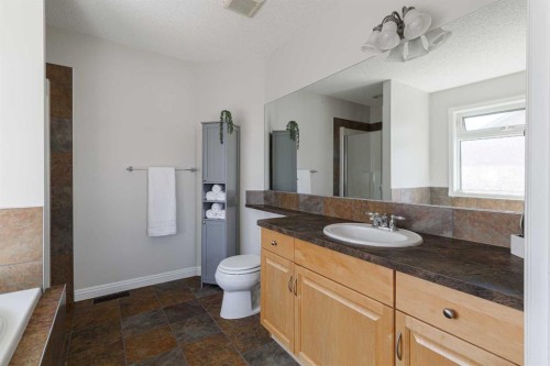 724 Prestwick Circle Se, Calgary, AB - Indoor Photo Showing Bathroom