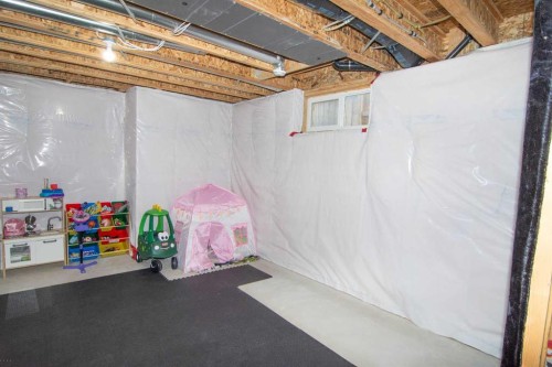 209 Evansdale Landing Nw, Calgary, AB - Indoor Photo Showing Basement