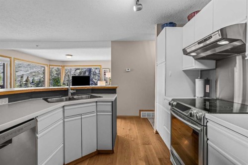 12-9 Blackrock Crescent West, Canmore, AB - Indoor Photo Showing Kitchen With Double Sink