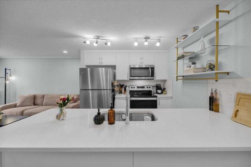 216-474 Seton Circle Se, Calgary, AB - Indoor Photo Showing Kitchen With Upgraded Kitchen