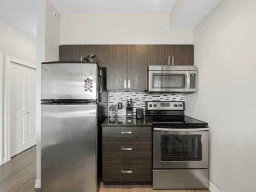 401-117 Copperpond Common Se, Calgary, AB - Indoor Photo Showing Kitchen With Stainless Steel Kitchen
