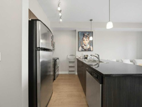 401-117 Copperpond Common Se, Calgary, AB - Indoor Photo Showing Kitchen With Stainless Steel Kitchen With Double Sink With Upgraded Kitchen