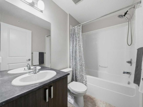 401-117 Copperpond Common Se, Calgary, AB - Indoor Photo Showing Bathroom