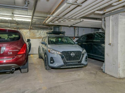 401-117 Copperpond Common Se, Calgary, AB - Indoor Photo Showing Garage