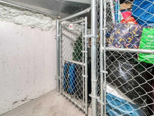 401-117 Copperpond Common Se, Calgary, AB - Indoor With Storage