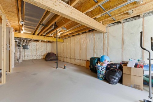 151 Evanscrest Park Nw, Calgary, AB - Indoor Photo Showing Basement