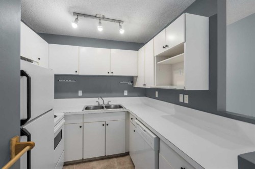 202C-5601 Dalton Drive Nw, Calgary, AB - Indoor Photo Showing Kitchen With Double Sink