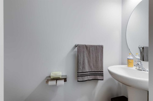 304 Windrow Crescent Sw, Airdrie, AB - Indoor Photo Showing Bathroom