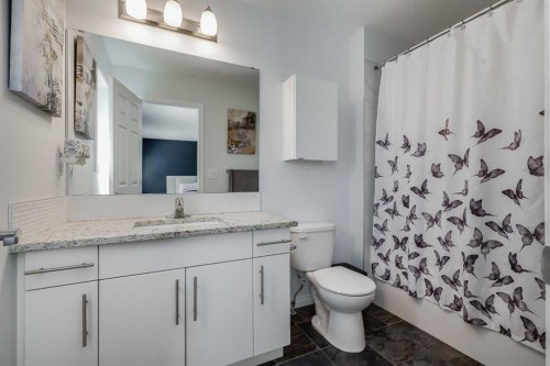 304 Windrow Crescent Sw, Airdrie, AB - Indoor Photo Showing Bathroom