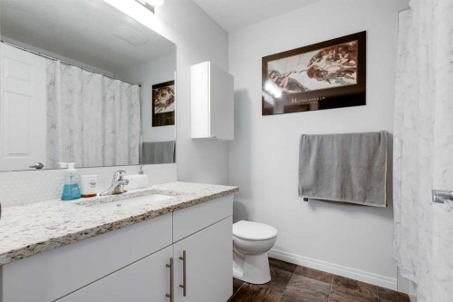 304 Windrow Crescent Sw, Airdrie, AB - Indoor Photo Showing Bathroom