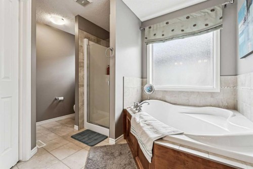 108 Seagreen Lane, Chestermere, AB - Indoor Photo Showing Bathroom