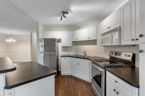 307-1307 Valleyview Park Se, Calgary, AB - Indoor Photo Showing Kitchen With Stainless Steel Kitchen With Double Sink
