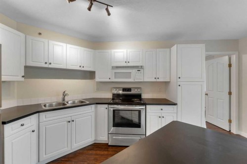 307-1307 Valleyview Park Se, Calgary, AB - Indoor Photo Showing Kitchen With Double Sink