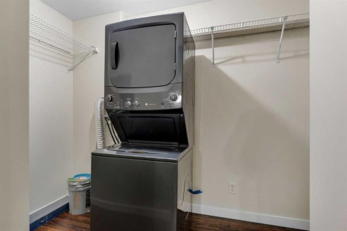 307-1307 Valleyview Park Se, Calgary, AB - Indoor Photo Showing Laundry Room