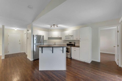 307-1307 Valleyview Park Se, Calgary, AB - Indoor Photo Showing Kitchen With Stainless Steel Kitchen