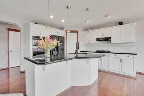 161 Panamount Close Nw, Calgary, AB - Indoor Photo Showing Kitchen With Upgraded Kitchen