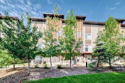 606 Skyview Point Place NE Calgary, AB T3N 0L7