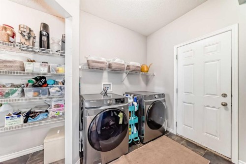 124 Lavender Way, Chestermere, AB - Indoor Photo Showing Laundry Room