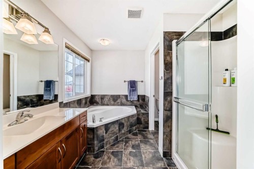 124 Lavender Way, Chestermere, AB - Indoor Photo Showing Bathroom